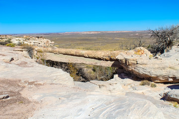 Agate Bridge in Petrified Forest National Park