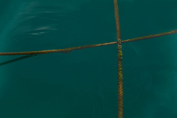 old cable in the sea 