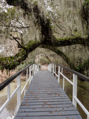 White bridge in Magnolia plantation and garden near Charleston, South Carolina