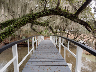 Obraz premium White bridge in Magnolia plantation and garden near Charleston, South Carolina