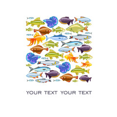 Naklejka premium A lot of fish. Set: chub, ruff, gold, flounder, crucian carp, rudd, tuna, carp, piranha, cockerels. Square