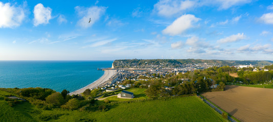 Panorama sur la ville de Fécamp avec un oiseau