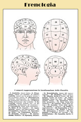 Alternative and pseudo-medicine: phrenology cart  about the brain localization of mental functions, vintage table early '900