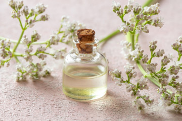 A bottle of valerian essential oil with valerian twigs