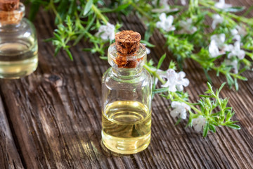 A bottle of mountain savory essential oil with fresh Satureja montana