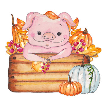 Hand painted watercolor autumn composition isolated on white background. Colored leaves, pumpkins and pig in box. It is perfect for thanksgiving cards, halloween design, decoration, prints, etc.