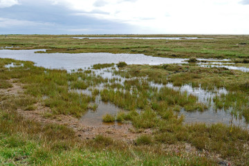 Laesoe / Denmark: Tidal creeks and lakes in the wide salt marsh landscape on „Hornfiskroen“ in...
