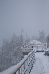 foggy winter wind pine mountain landscape stairs