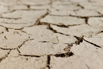 dry cracked earth