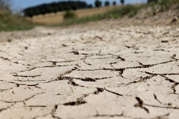 dry cracked earth