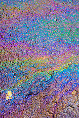 A leaked Car Oil Petrol in The Rain on a Tarmac Road Metallic Rainbow