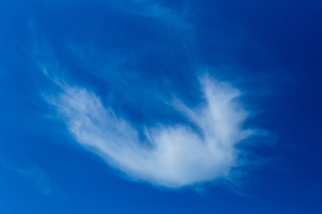 white cloud in blue sky shot on a summer day