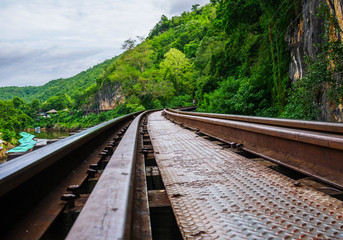 Fototapeta premium Tabby cat lying on the floor