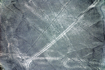 Nazca Lines are a series of large ancient geoglyphs in the Nazca Desert, in southern Peru. They...