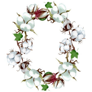 White cotton floral botanical flower. Watercolor background illustration set. Frame border ornament square.