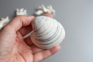Sea shell in hand.