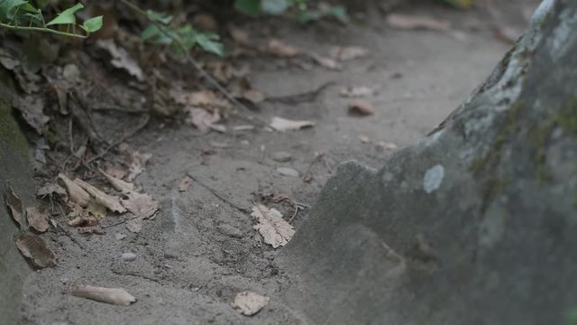 Camminamenti MedioEvali castelli e rocce