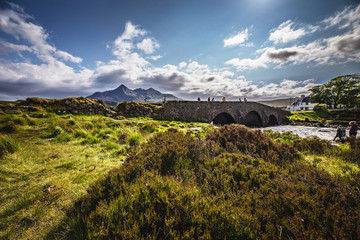 Obraz premium Old bridge and picturesque Scotland morning landscape.