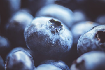 fresh Blueberry background. close up with selective focus and water droplets. Concept of healthy and dieting eating.