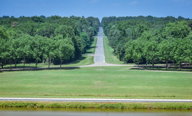 Long asphalt straight road through the forest. Road with ups and downs. Sunny and cloudy day.