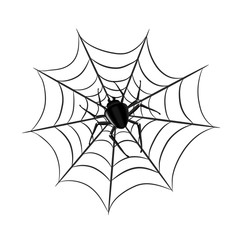 spider on web for halloween design greeting card on white, stock vector illustration