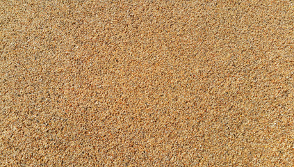 Natural sand background