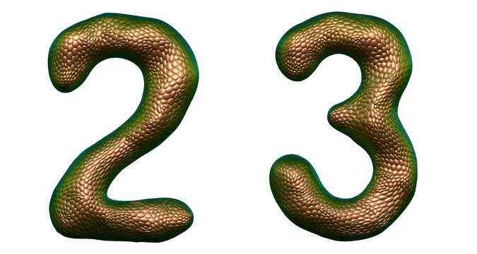 Number set 2, 3 made of realistic 3d render gold color. Collection of natural snake skin texture style symbol