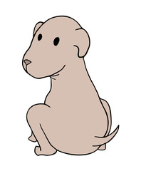adorable dog illustration