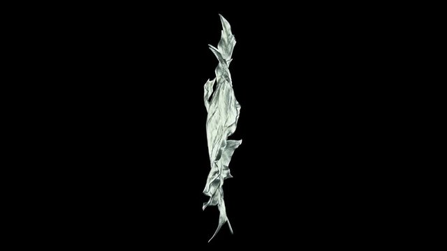 Close-up rotation maple leaf covered by drops of water. Leaf silver color isolated on black background. 3d 4K