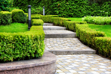 Paved cobblestone trail in a beautiful park, framed by cropped bushes in the rays of soft light - 280266142