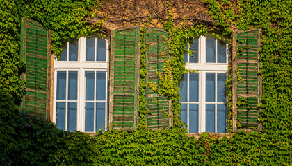 Fototapeta na wymiar Nice house covered with ivy