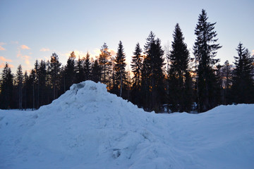 Fototapeta na wymiar Bosque nieve