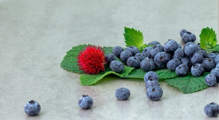 Blueberries with mint leaves and the fruit of the castor bean