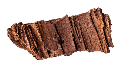 a piece of bark on an isolated white background