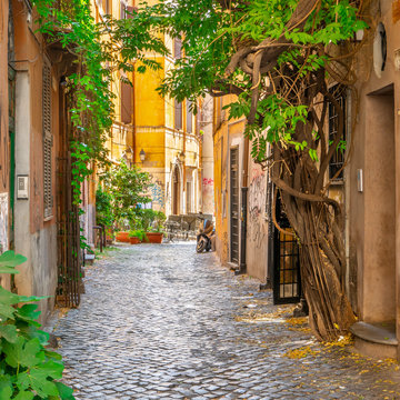 Fototapeta Cozy street in Trastevere, Rome, Italy, Europe.