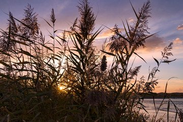 A beautiful evening with sunset on the German Baltic coast