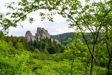 Green mountains in the summer of the Carpathians