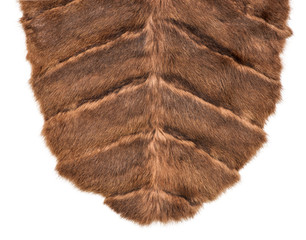 Wrap from fur of a mink on an isolated white background
