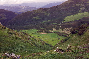 Fototapeta na wymiar landscape of a Carpathians mountains