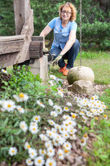 Middle age Caucasian woman sits with gloves near wooden veranda and cares for camomiles growing in backyard