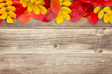 Border of autumn leaves on wooden background - a beautiful template for an autumn card or congratulations