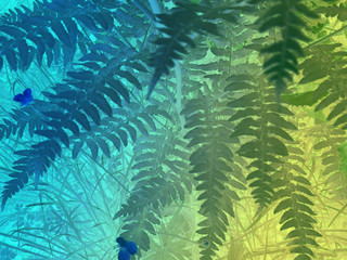 foliage © neurostructure