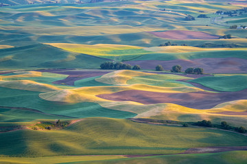 Golden hour sunset aerial view of The Palouse region of Eastern Washington State, as seen from...