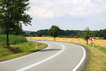 Piękna droga asfaltowa na zakręcie z widokiem na zboża i las.