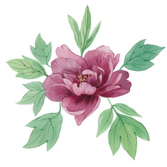 watercolor flower with leaves. artistic design of leaves and flowers.