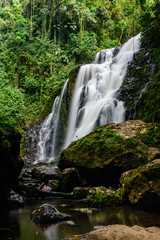 waterfall in the forest - 280278126