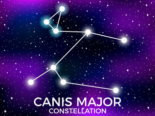 Canis Major constellation. Starry night sky. Cluster of stars and galaxies. Deep space. Vector illustration