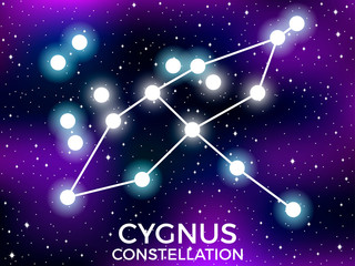 Obraz na płótnie Canvas Cygnus constellation. Starry night sky. Cluster of stars and galaxies. Deep space. Vector illustration