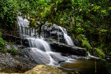 waterfall in the forest - 280278544