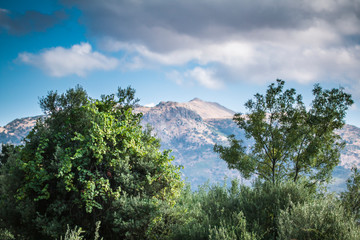 Fototapeta premium view of mountains